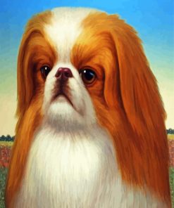 Pekingese Dog Art Paint By Numbers