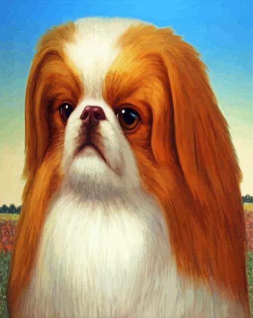 Pekingese Dog Art Paint By Numbers