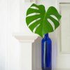 Plant In Blue Vase Paint By Numbers