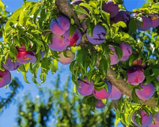 Plum Fruit Tree Paint By Numbers