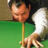 Ray Reardon Snooker Player Paint By Numbers