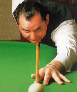 Ray Reardon Snooker Player Paint By Numbers