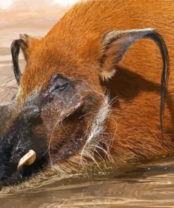 Red River Hog Swimming Paint By Numbers