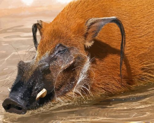 Red River Hog Swimming Paint By Numbers