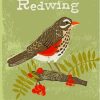 Redwing Illustration Paint By Numbers