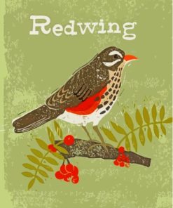 Redwing Illustration Paint By Numbers