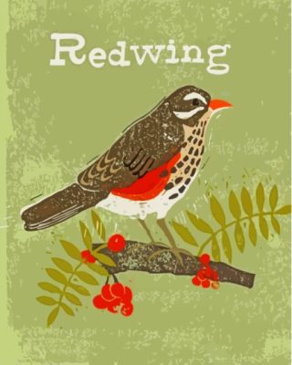 Redwing Illustration Paint By Numbers