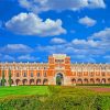 Rice University Paint By Numbers