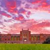 Rice University At Sunset Paint By Numbers