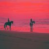 Ride On The Beach At Pink Sunset Paint By Numbers