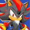 Shadow The Hedgehog Paint By Numbers