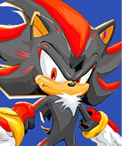 Shadow The Hedgehog Paint By Numbers