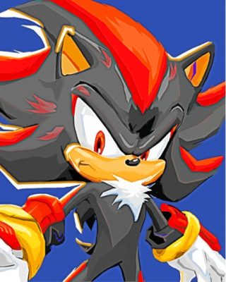 Shadow The Hedgehog Paint By Numbers