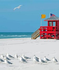 Siesta Key Beach Paint By Numbers