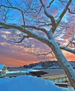 Snowy Boothbay Town Paint By Numbers