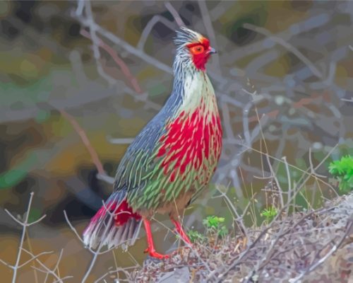 The Blood Pheasant Bird Paint By Numbers