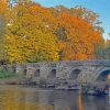 The Essex Bridge Shugborough Paint By Numbers