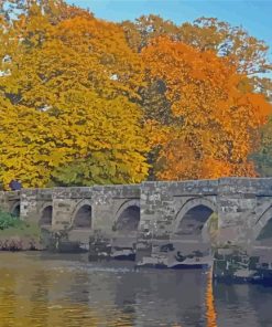 The Essex Bridge Shugborough Paint By Numbers