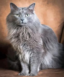 The Grey Ragdoll Cat Paint By Numbers