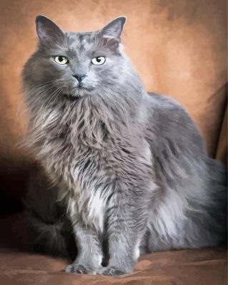 The Grey Ragdoll Cat Paint By Numbers