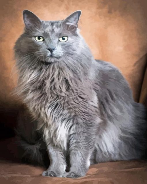 The Grey Ragdoll Cat Paint By Numbers