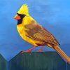 The Yellow Cardinal Paint By Numbers