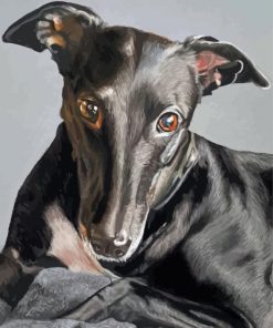 The Black Greyhound Dog Paint By Numbers