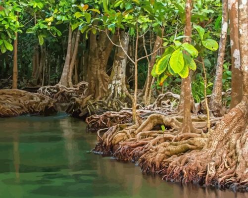 The Mangrove Forest Paint By Numbers