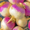 Turnip Vegetable Paint By Numbers