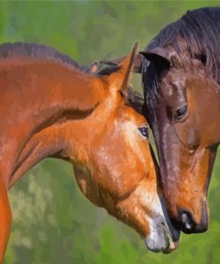 Two Brown Horses In Love Paint By Numbers