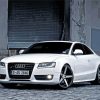 White Audi S5 Paint By Numbers