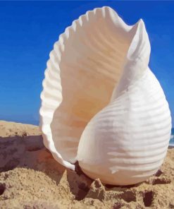 White Sea Shell Paint By Numbers