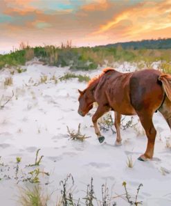 Wild Ponies On Assateague Island Paint By Numbers