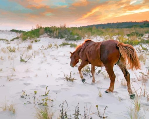 Wild Ponies On Assateague Island Paint By Numbers