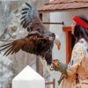 Winnetou Character With Eagle Paint By Numbers