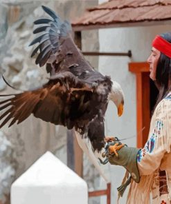 Winnetou Character With Eagle Paint By Numbers