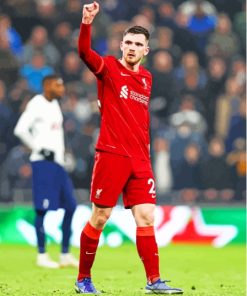 Aesthetic Andrew Robertson Paint By Numbers