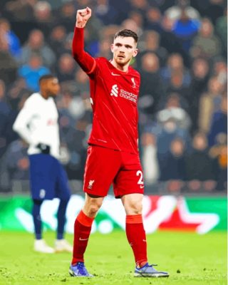 Aesthetic Andrew Robertson Paint By Numbers