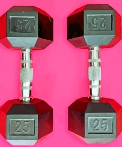 Black Dumbbells Paint By Numbers