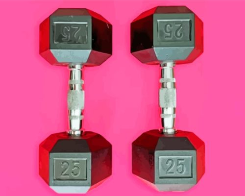 Black Dumbbells Paint By Numbers