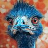 Blue Emu Bird Paint By Numbers