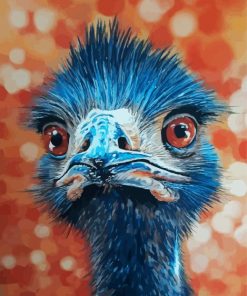 Blue Emu Bird Paint By Numbers