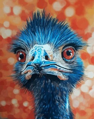 Blue Emu Bird Paint By Numbers