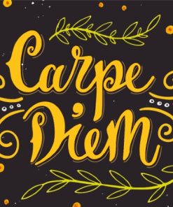 Carpe Diem Quote Paint By Numbers