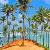 Coconut Trees Paint By Numbers