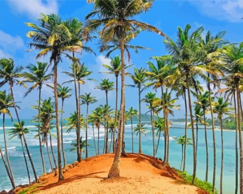 Coconut Trees Paint By Numbers