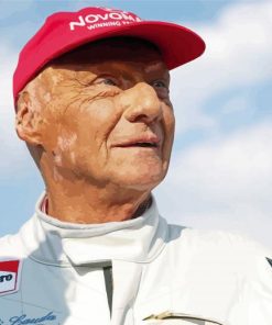 Cool Niki Lauda Paint By Numbers