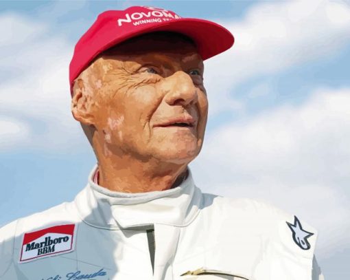 Cool Niki Lauda Paint By Numbers