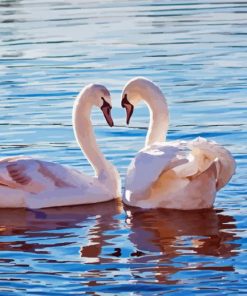 Couple Swan Birds Paint By Numbers