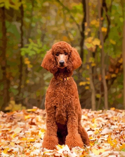 Cute Standard Poodle Paint By Numbers